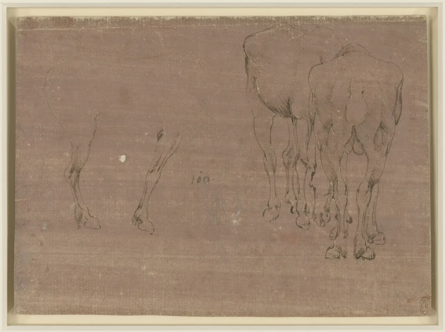 Études de cheval et étude d'un mulet, Léonard de Vinci