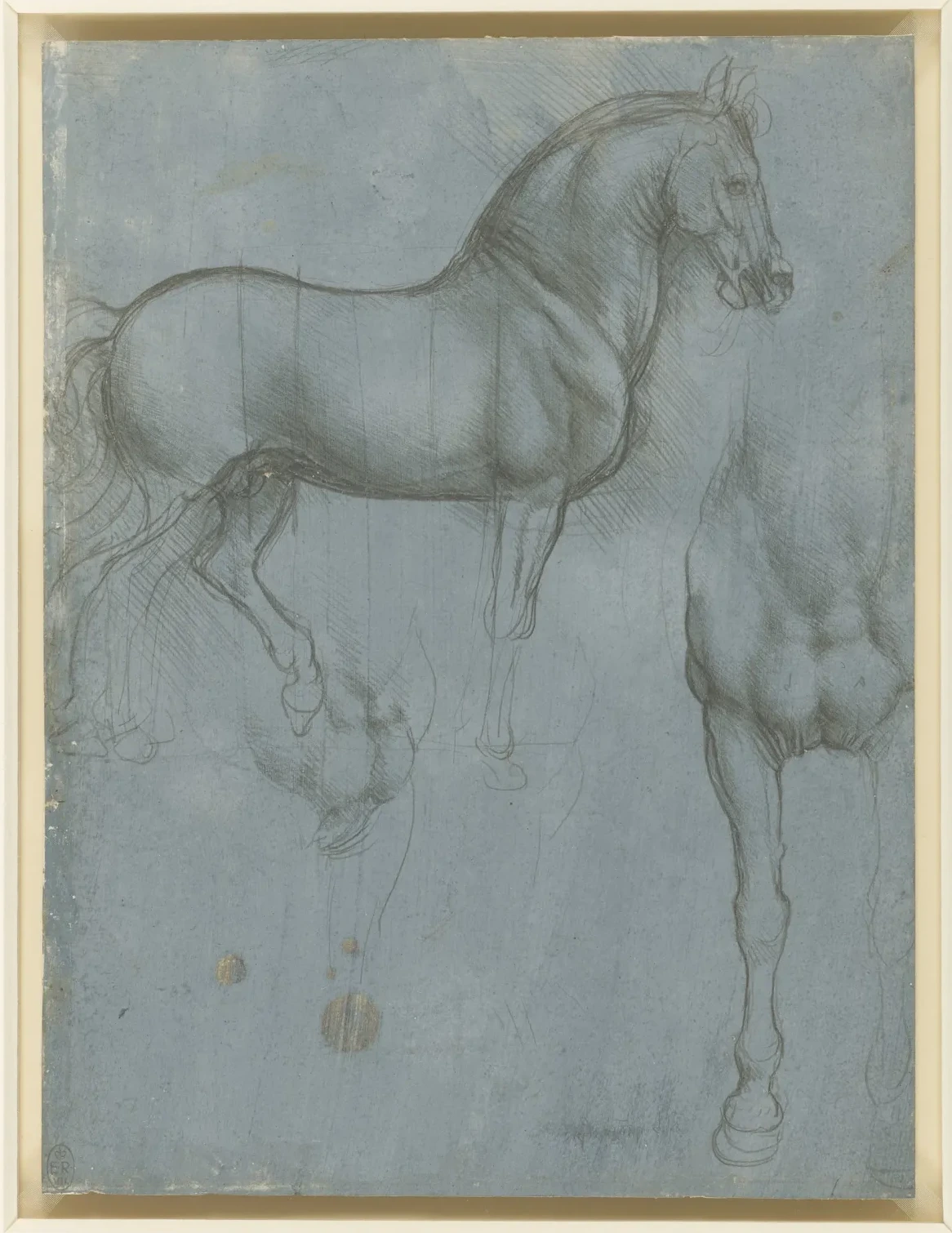 Études de cheval, Léonard de Vinci