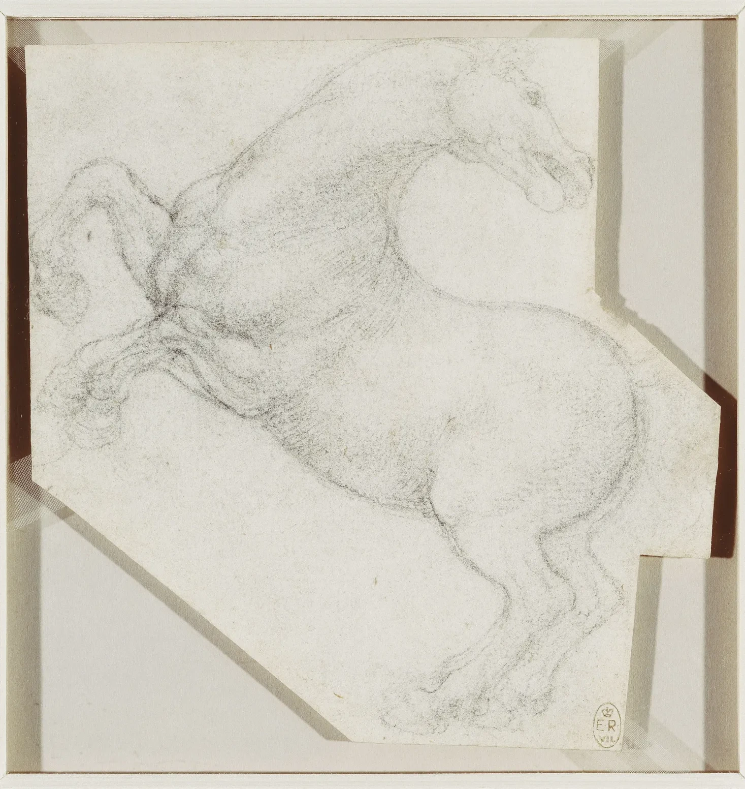 Étude de cheval, Léonard de Vinci