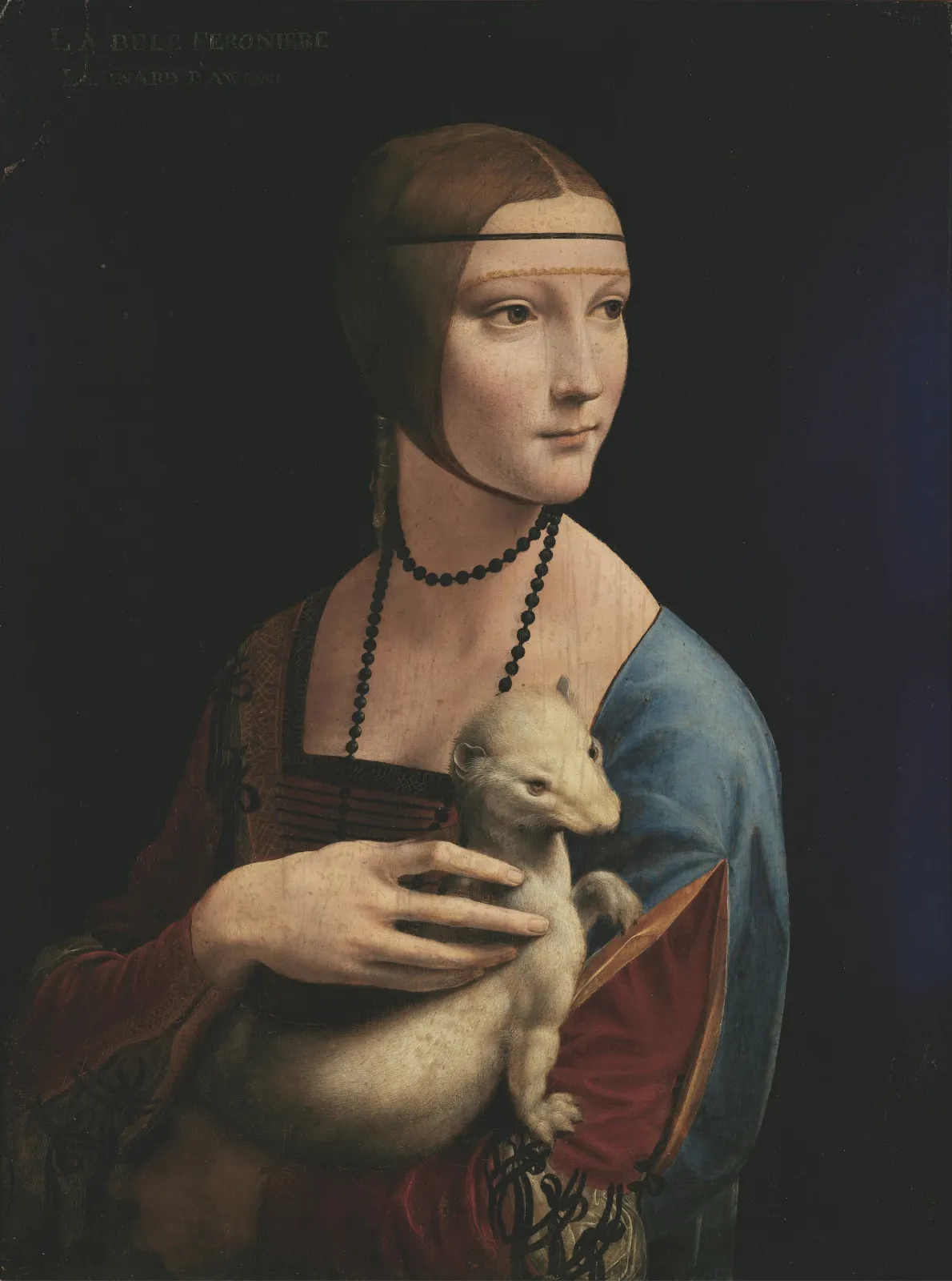 La Dame à l'hermine, Léonard de Vinci