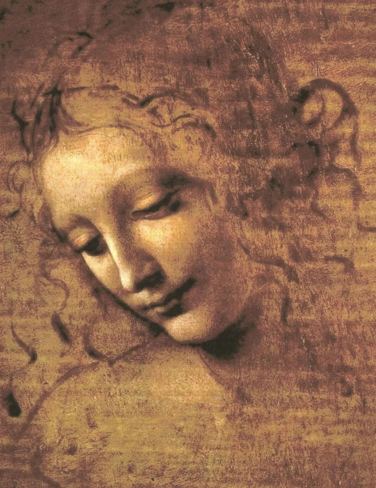 La Scapigliata, Léonard de Vinci