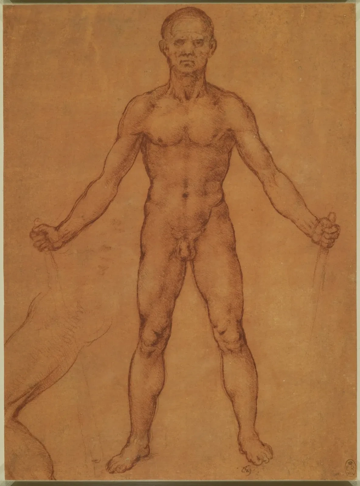 Nu masculin vu de face, Léonard de Vinci