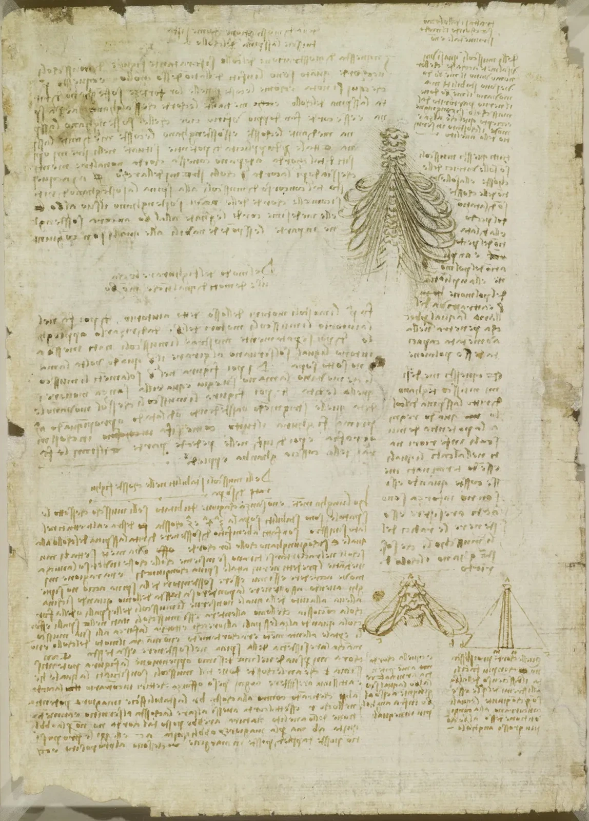 Notes et illustration analysant les muscles responsables du mouvement de la cage thoracique, Léonard de Vinci