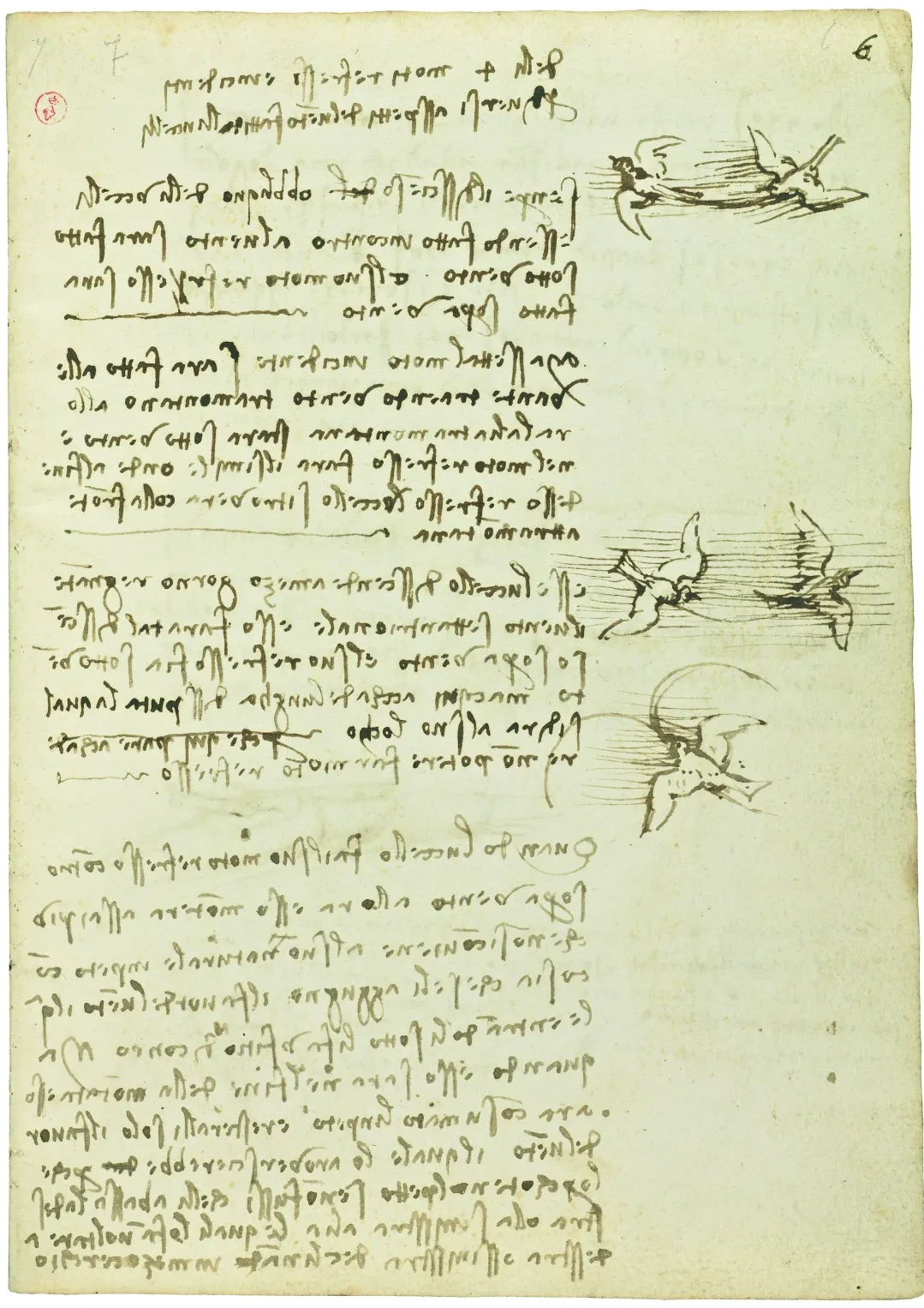 Notes on Bird Flight in various Wind Conditions, Leonardo da Vinci