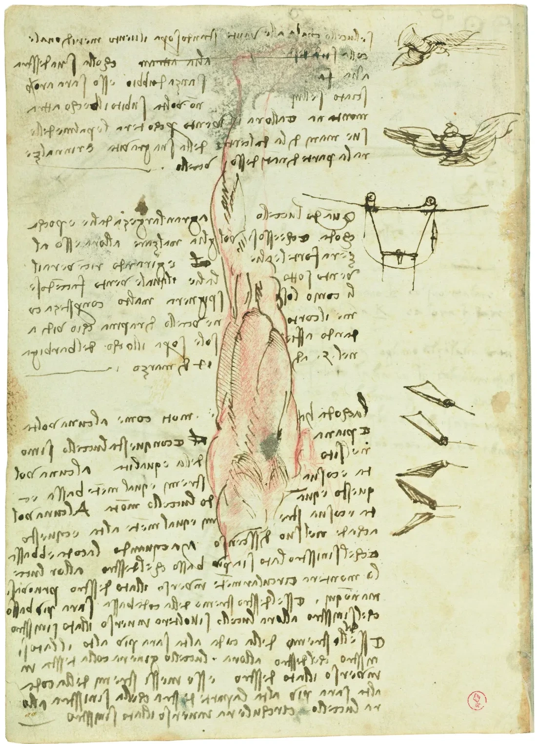 Notes sur le vol descendant et ascendant et dessin anatomique d'une jambe, Léonard de Vinci