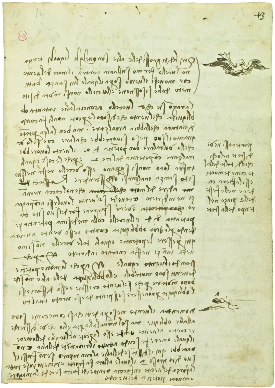 Notes sur le vol plané des oiseaux, Léonard de Vinci