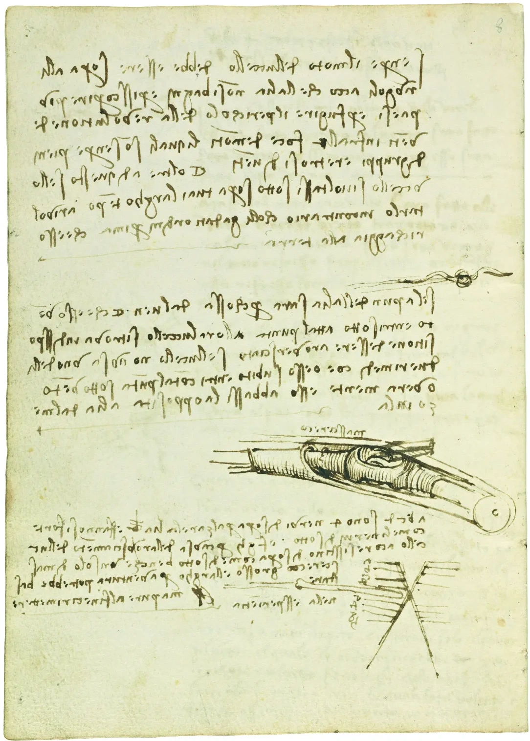 Notes sur l'altitude de vol optimale et sur la construction des ailes, Léonard de Vinci