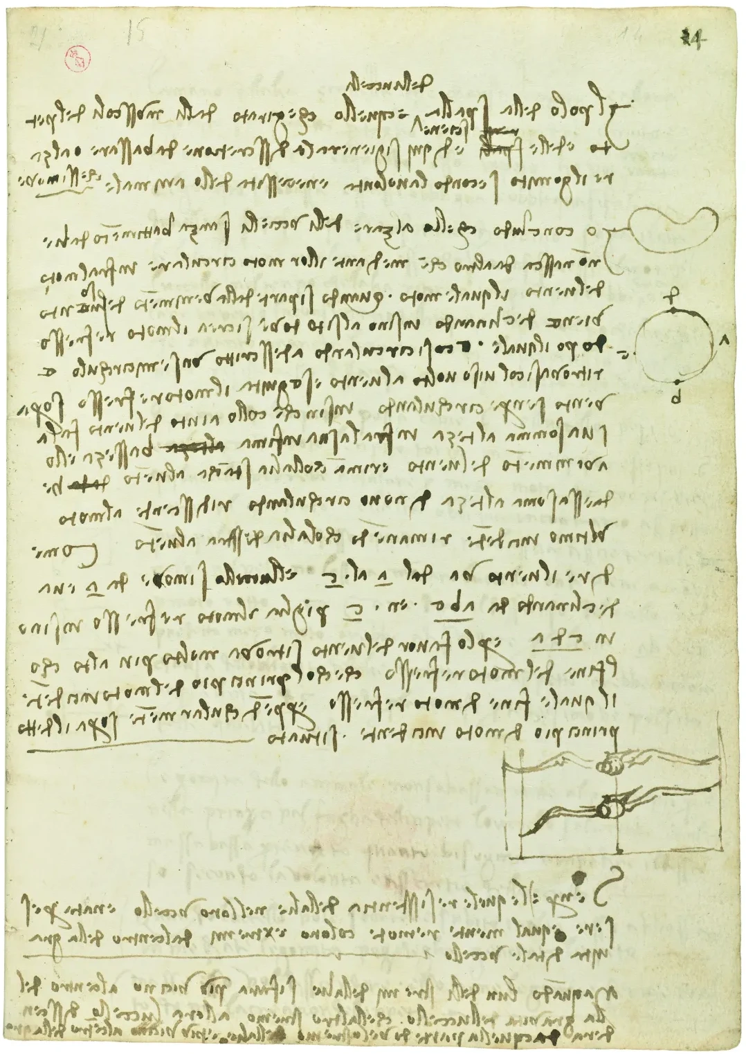 Notes on the Aerodynamics of Bird Flight, Leonardo da Vinci