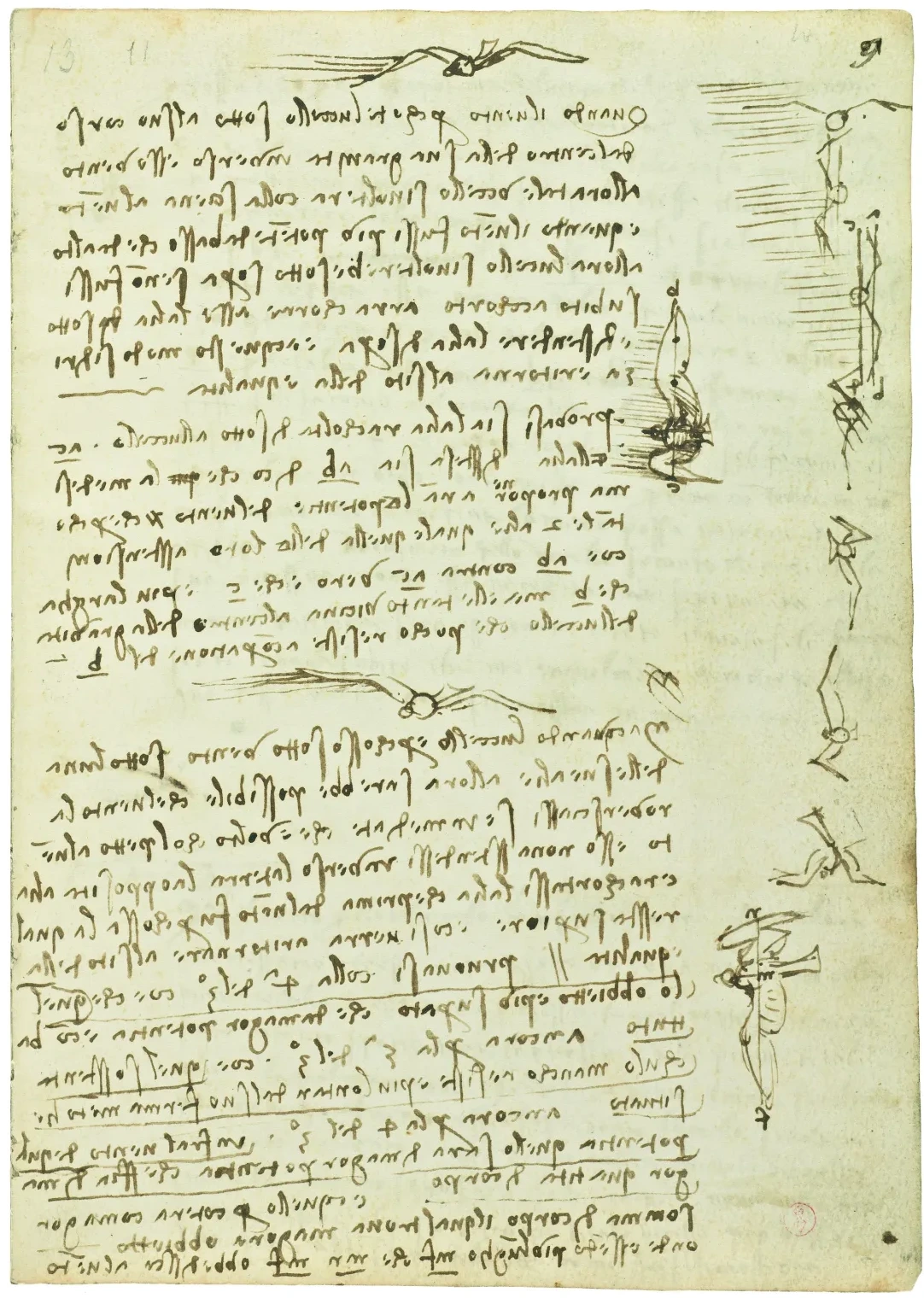 Notes on the Influence of Gusts of Wind on the Flight of Birds, Leonardo da Vinci