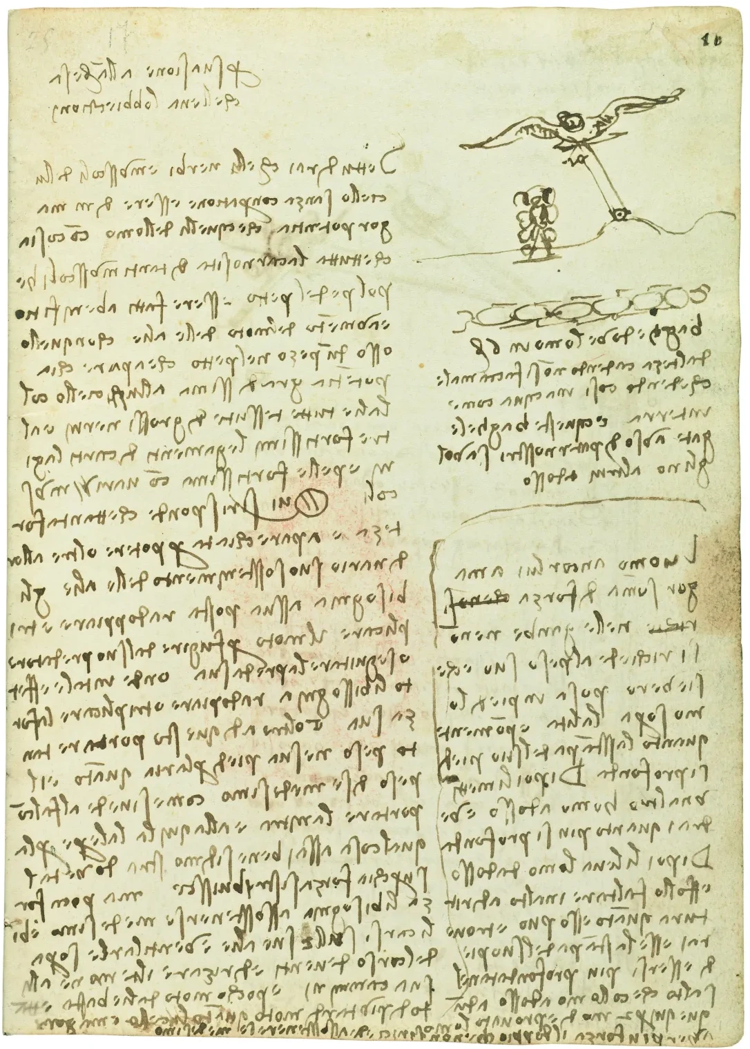 Notes on the Physical Strength of Birds and a Comparison with the Strength of Man, Leonardo da Vinci