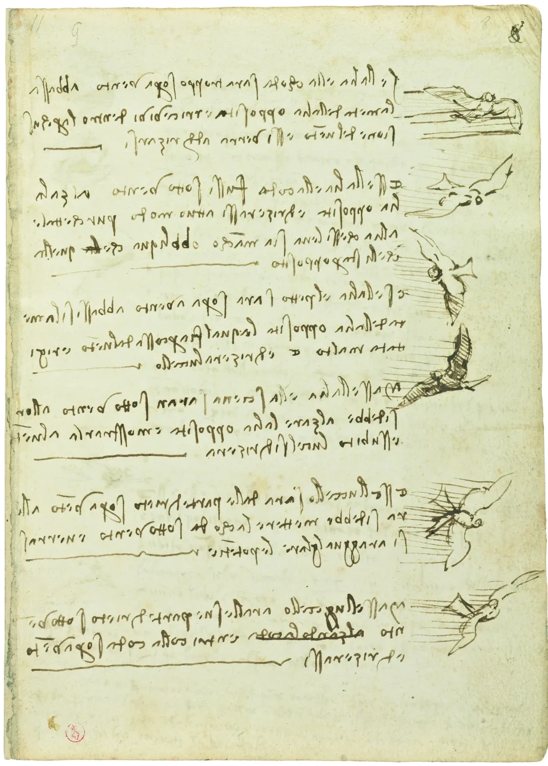 Notes sur la position d'un oiseau en vol par rapport au vent, Léonard de Vinci