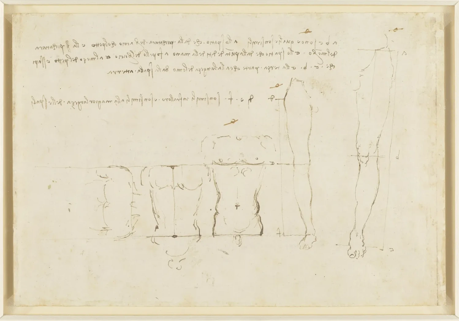 Notes on the Proportional Distances of Parts of the Body to Each Other, Leonardo da Vinci