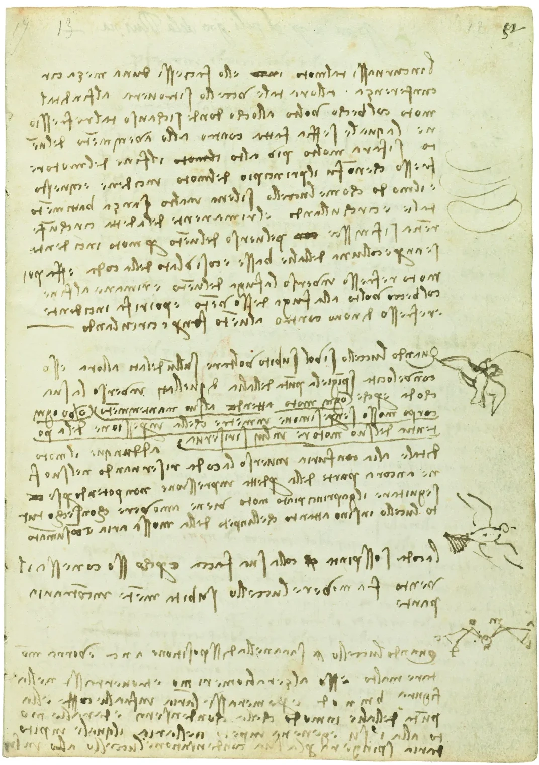 Notes on the Various Phases of Flight, Leonardo da Vinci