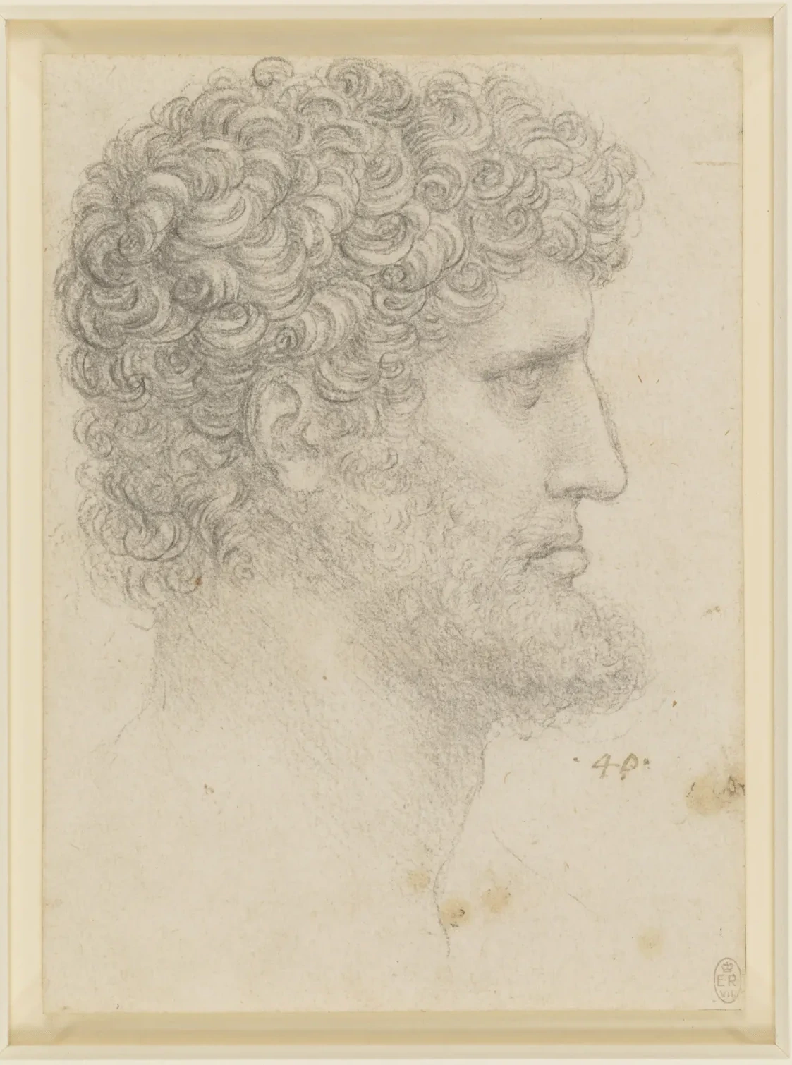 Profile Study of a Bearded Man, Leonardo da Vinci