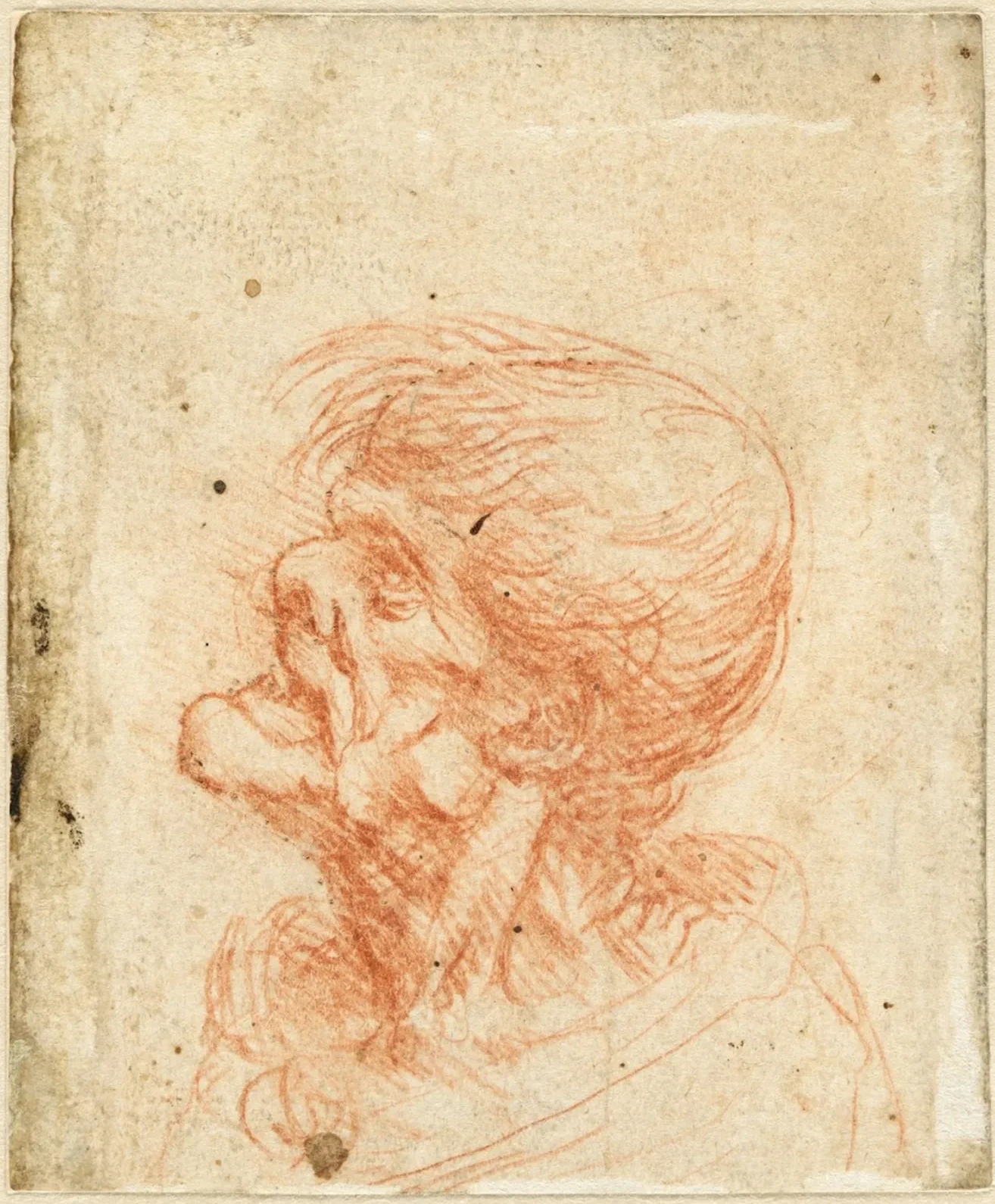 Profile Study of a Grotesque Head, Leonardo da Vinci
