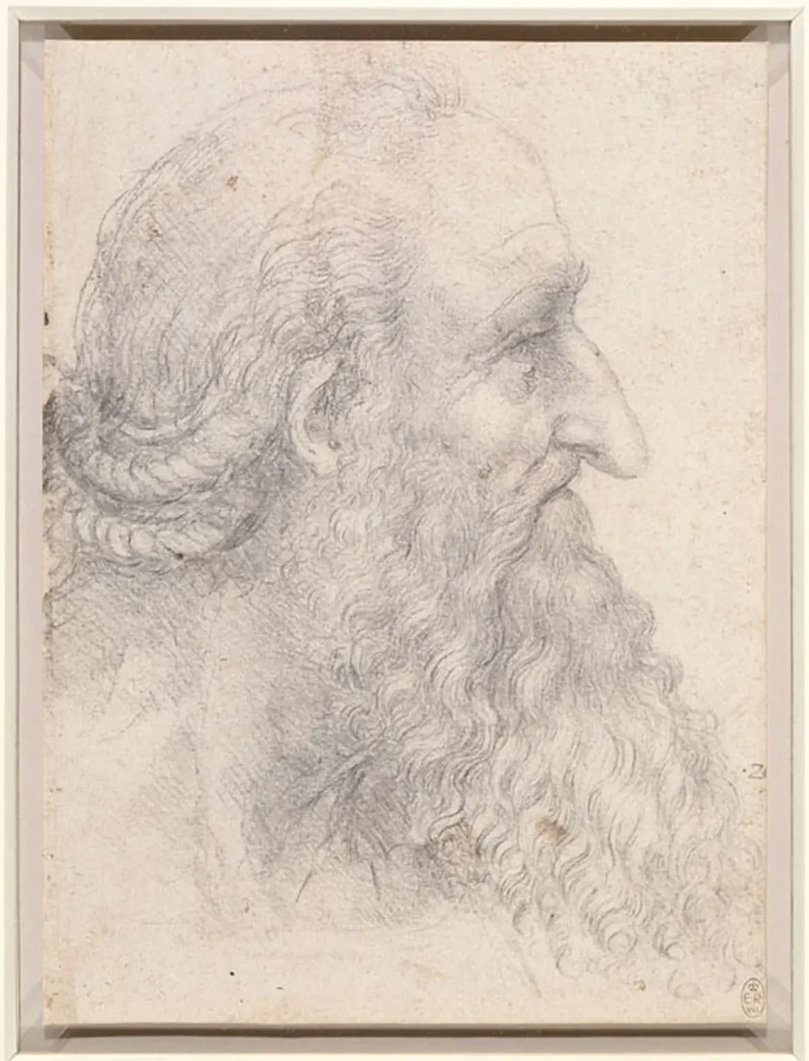 Profile Study of an Old Man with Beard and Braided Hair, Leonardo da Vinci