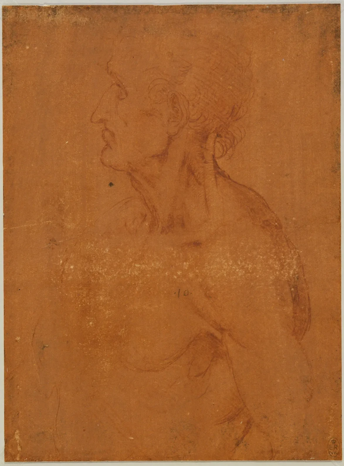 Profile Study of the Head and Upper Torso of a Man, Leonardo da Vinci