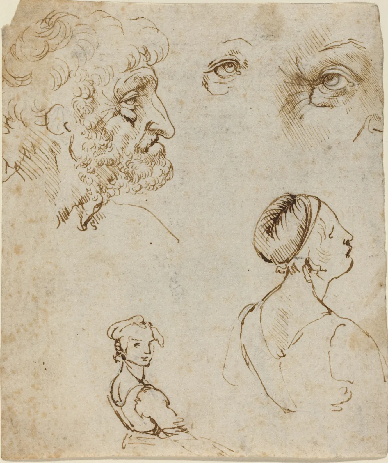 Sheet of Studies [recto], Leonardo da Vinci
