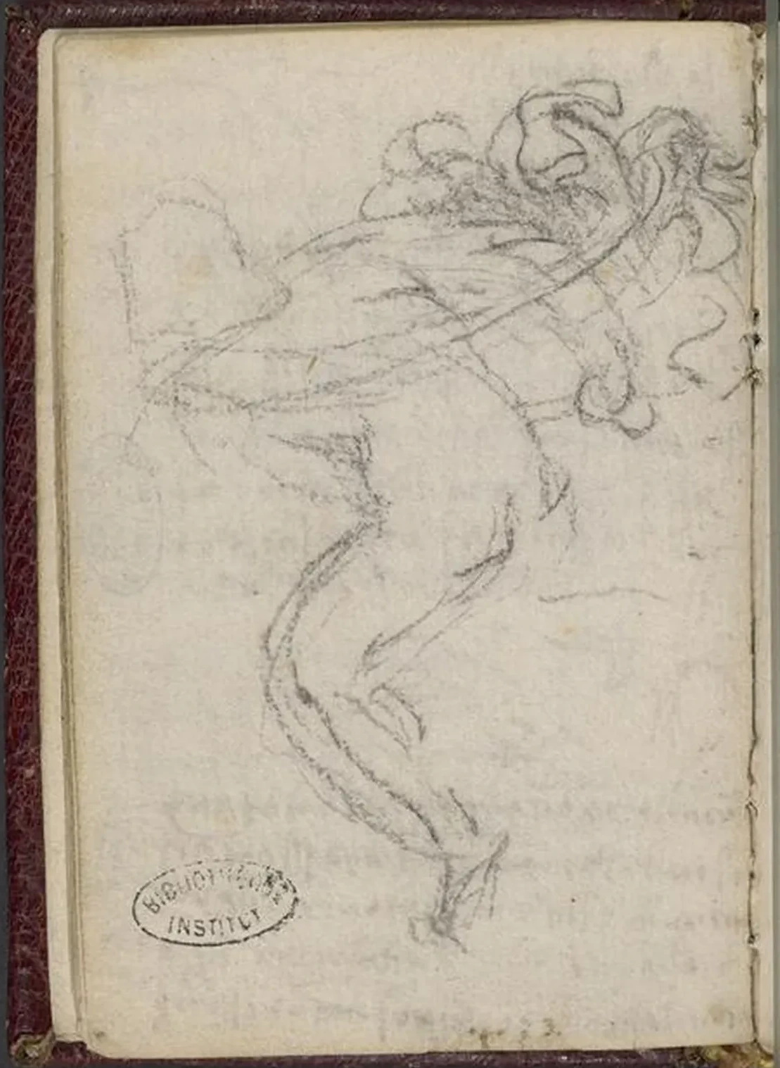 Sketch of a Rider, Leonardo da Vinci