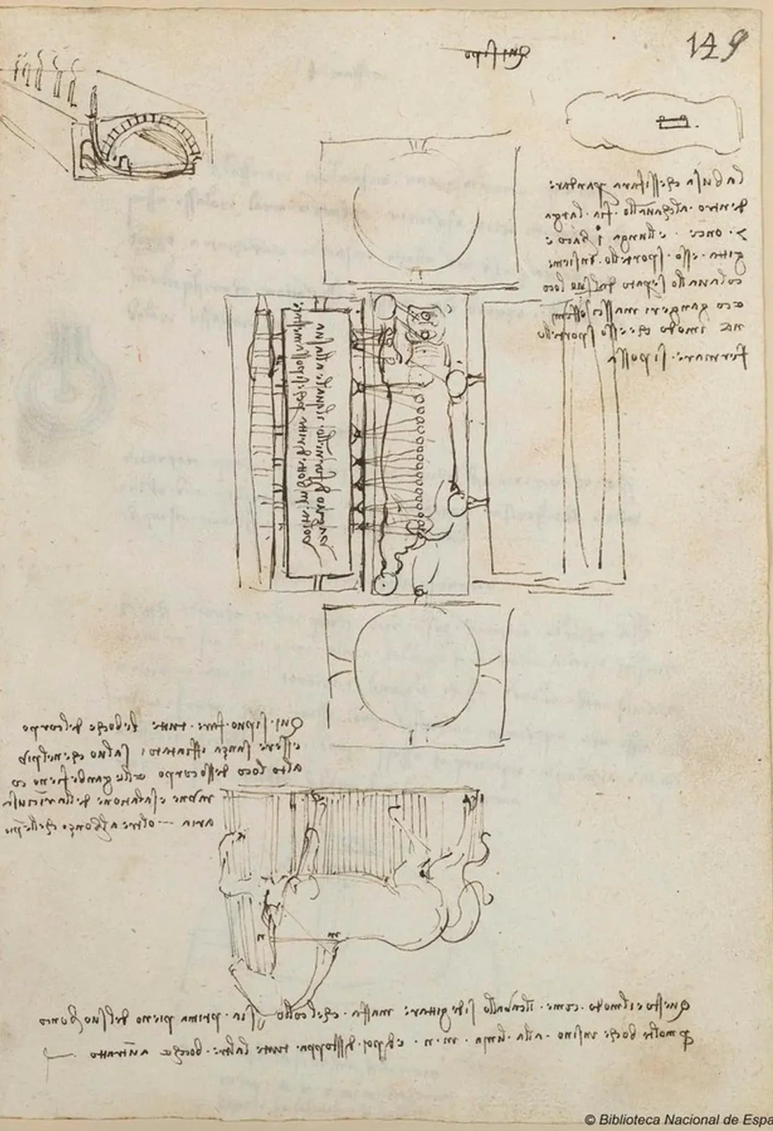 Sketch of the Casting Pit for the Sforza Horse seen from above (top) and the side (bottom), Leonardo da Vinci