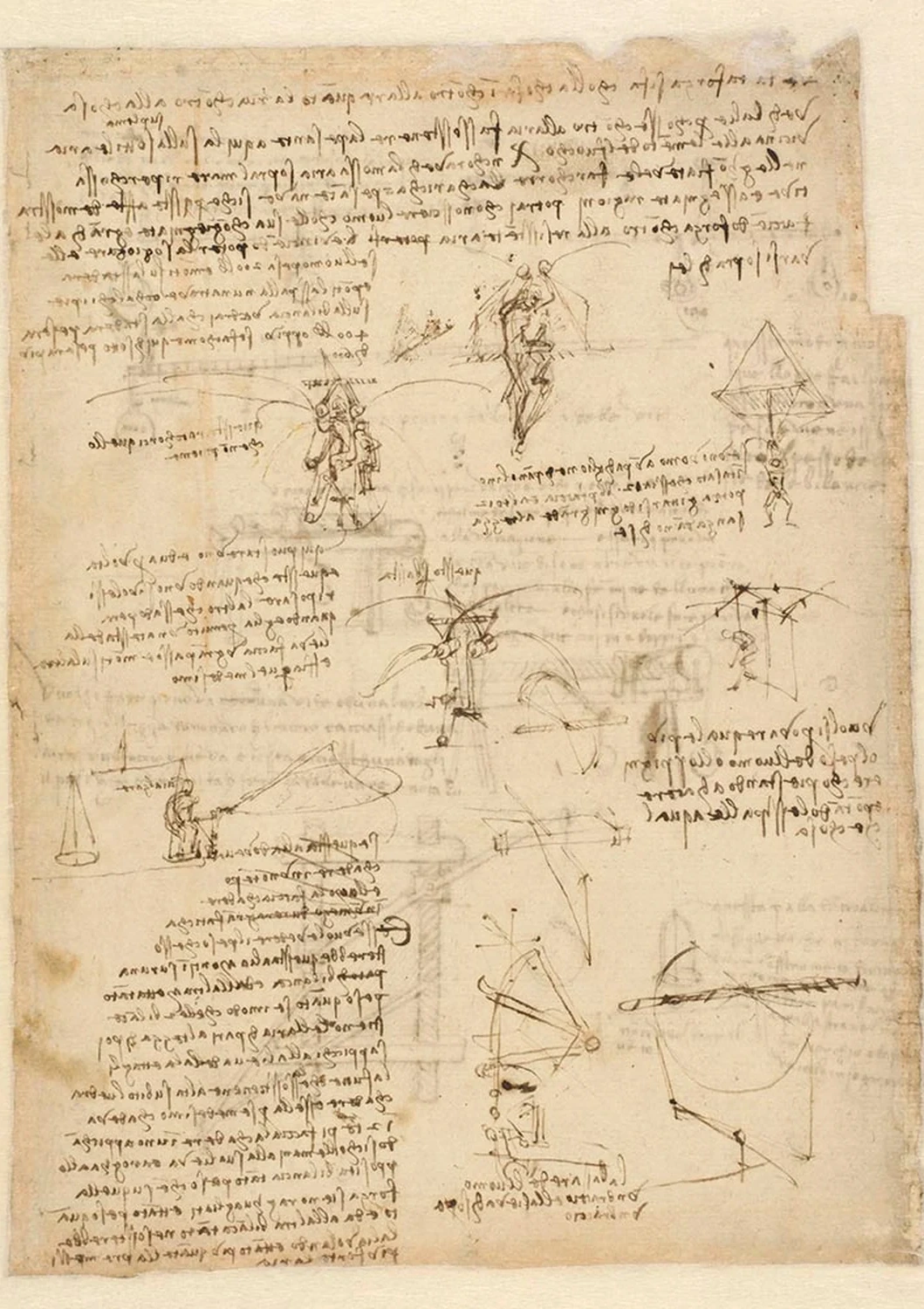 Sketches and Notes on Flying Machines and Parachutes, Leonardo da Vinci