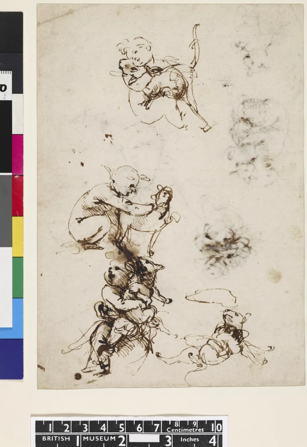 Croquis d'un enfant avec un chat, Léonard de Vinci