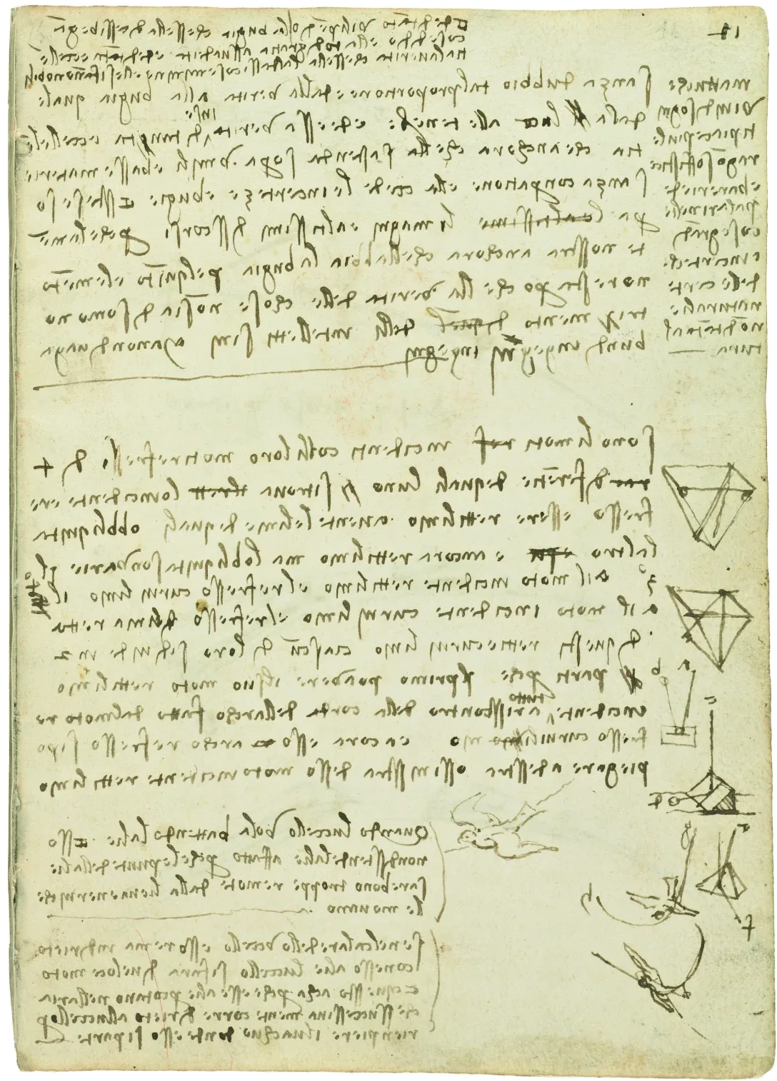 Sketches of Wing Construction, Leonardo da Vinci