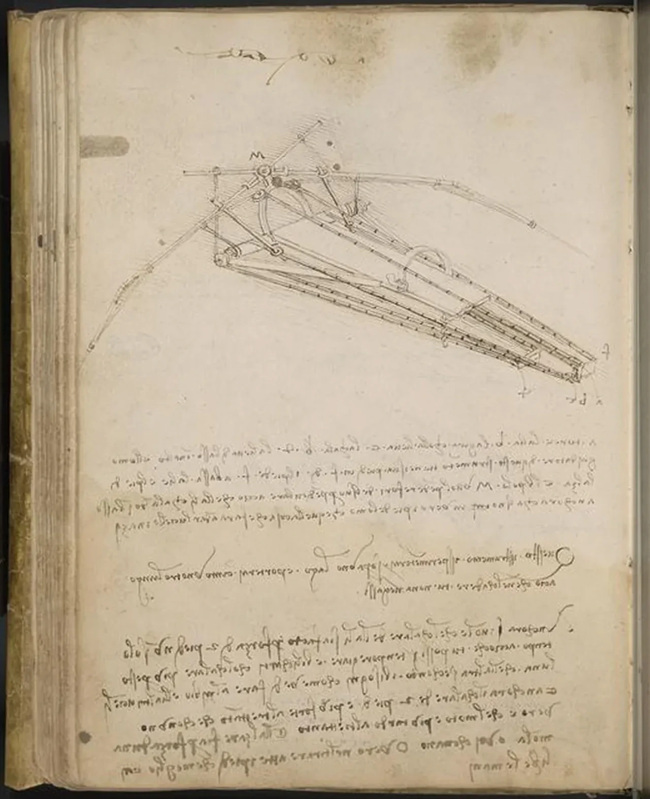Études pour une machine volante, Léonard de Vinci