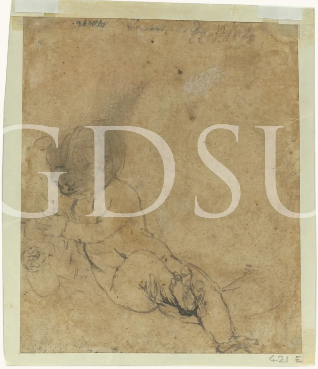 Studies for a Madonna with a Cat, Leonardo da Vinci