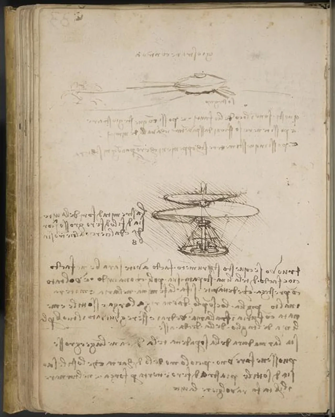 Études d'une vis aérienne, Léonard de Vinci