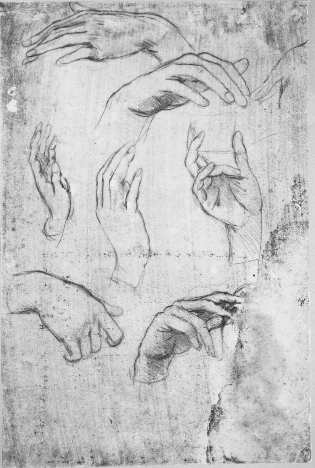 Studies of Hands, Leonardo da Vinci
