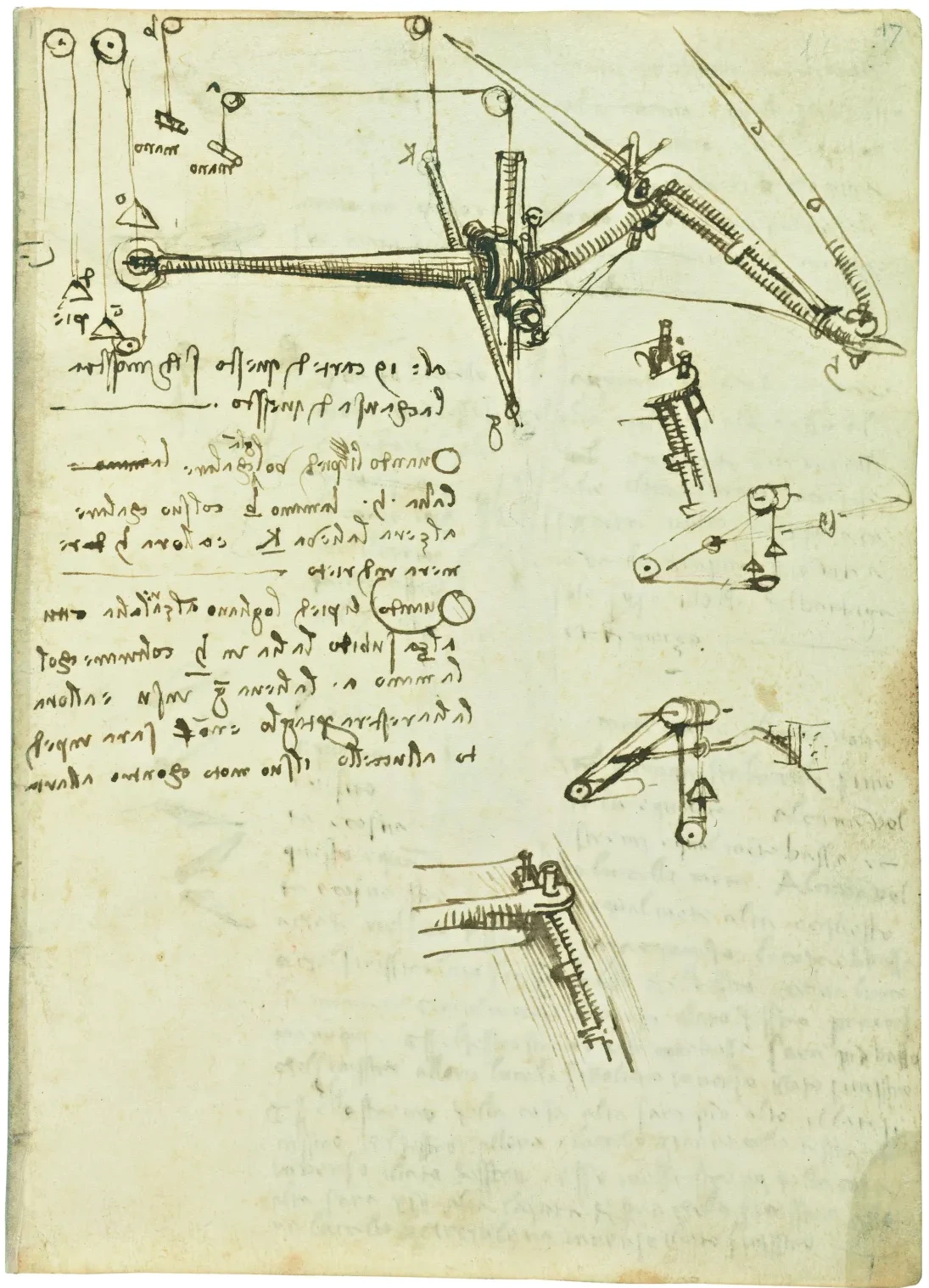 Studies of the Functioning of a Wing, Leonardo da Vinci