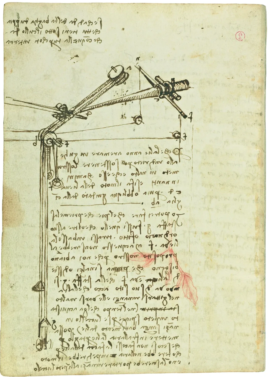 Studies of the Mechanism of a Wing and its Generation of Power, Leonardo da Vinci