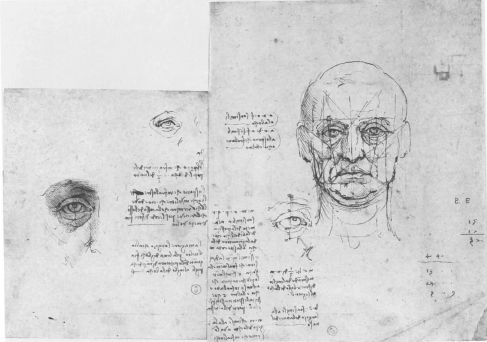 Studies of the Proportions of the Face and Eye, Leonardo da Vinci