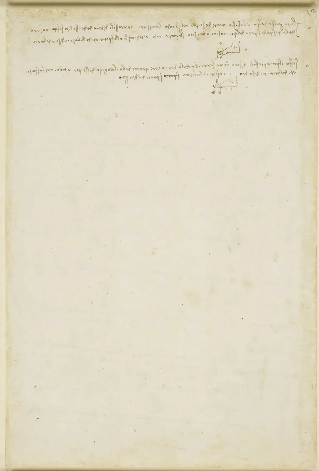 Studies of the Proportions of the Foot, Leonardo da Vinci