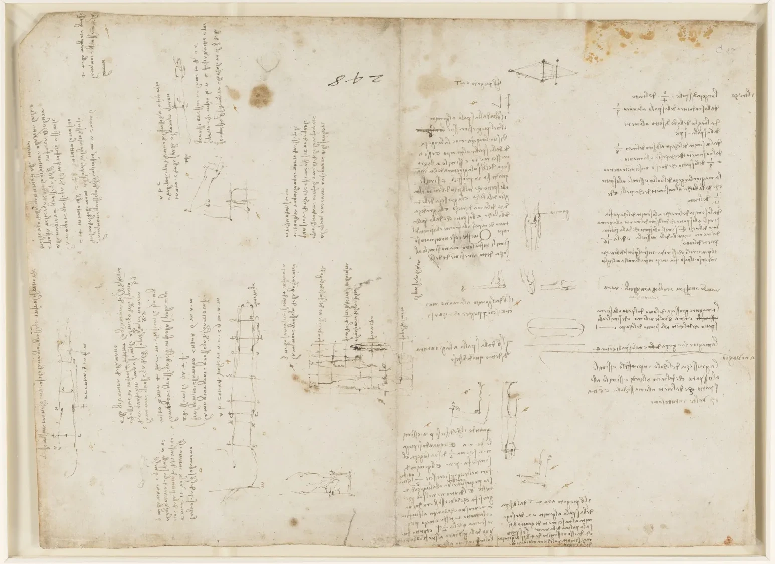 Studies of the Proportions of the Head, Torso and Arm, Leonardo da Vinci