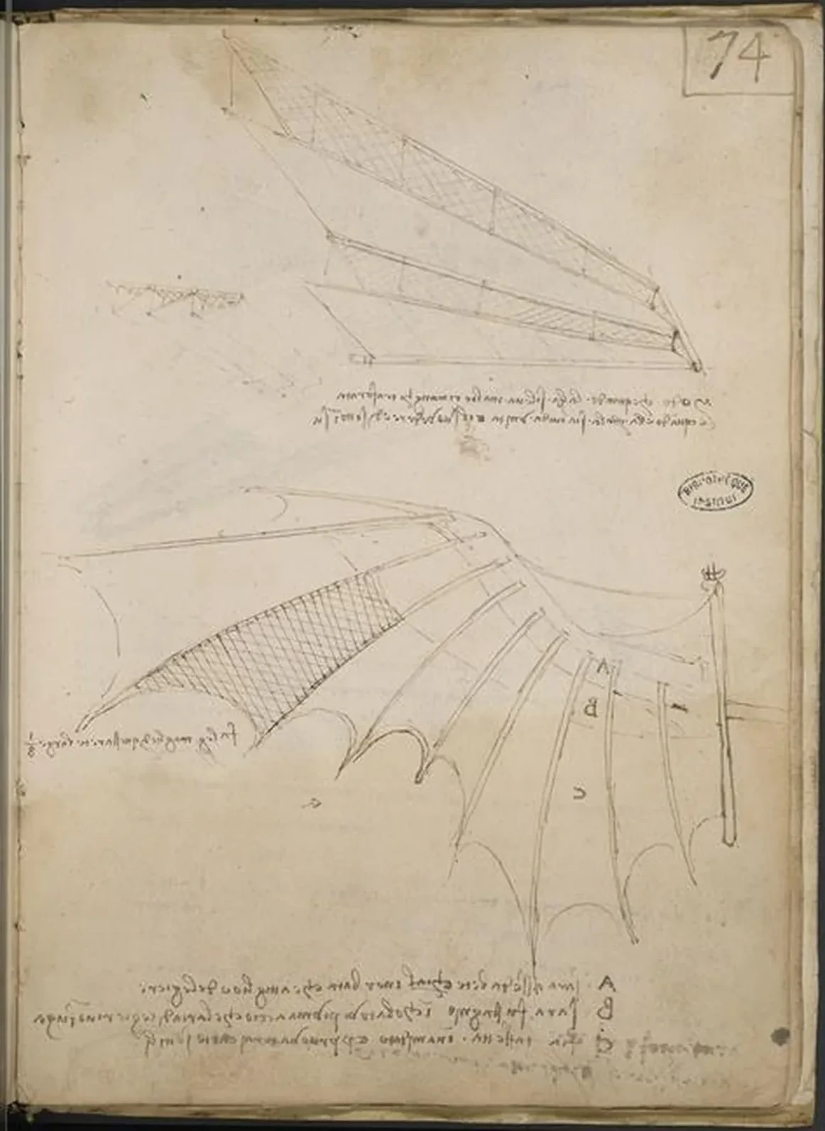 Studies of Wing Articulation, Leonardo da Vinci
