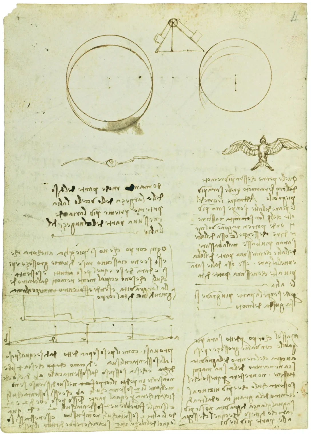Études sur les caractéristiques des ailes des oiseaux, Léonard de Vinci