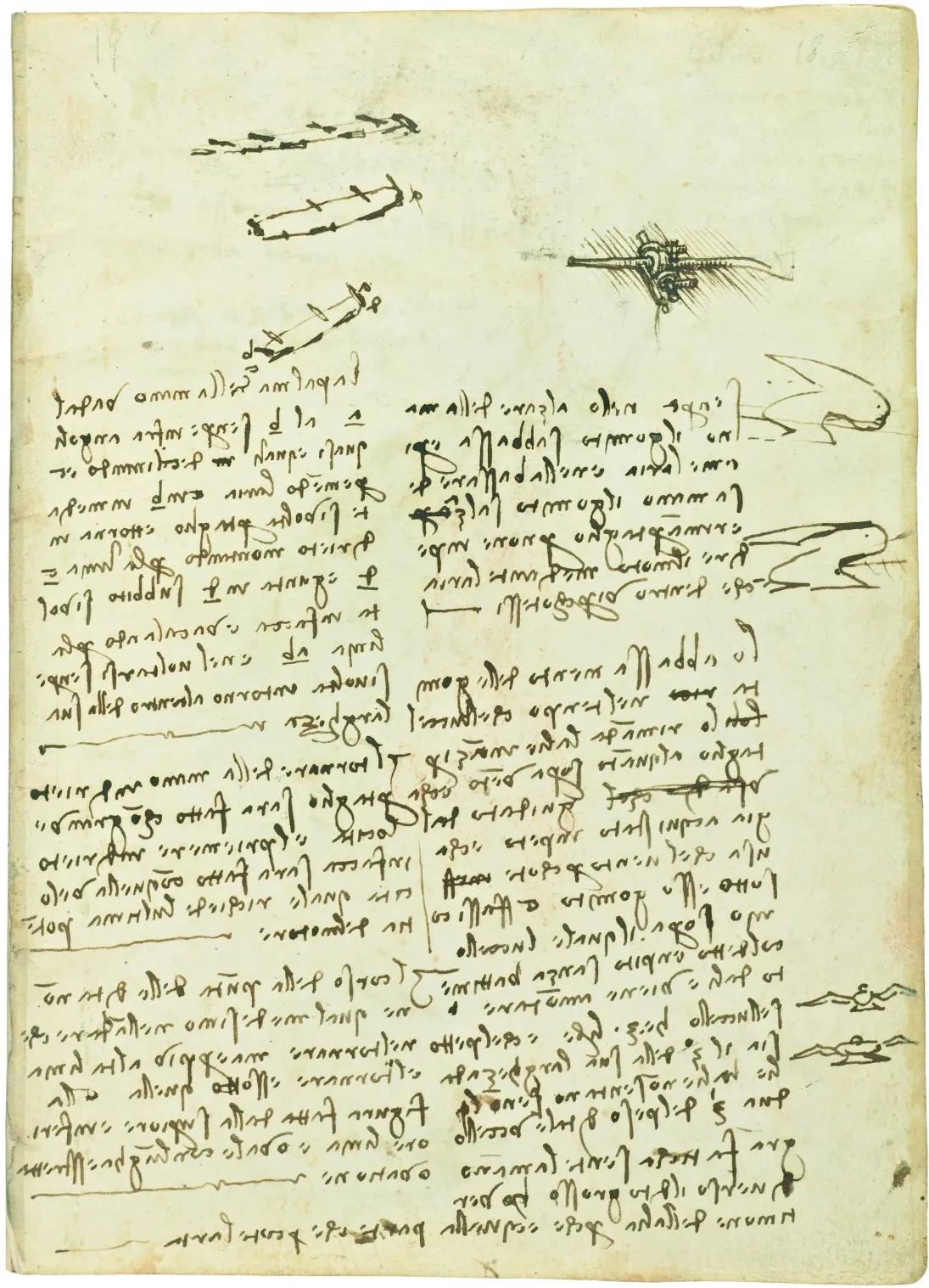 Studies on the Movement of the Wing and on the Effect of Wind, Leonardo da Vinci