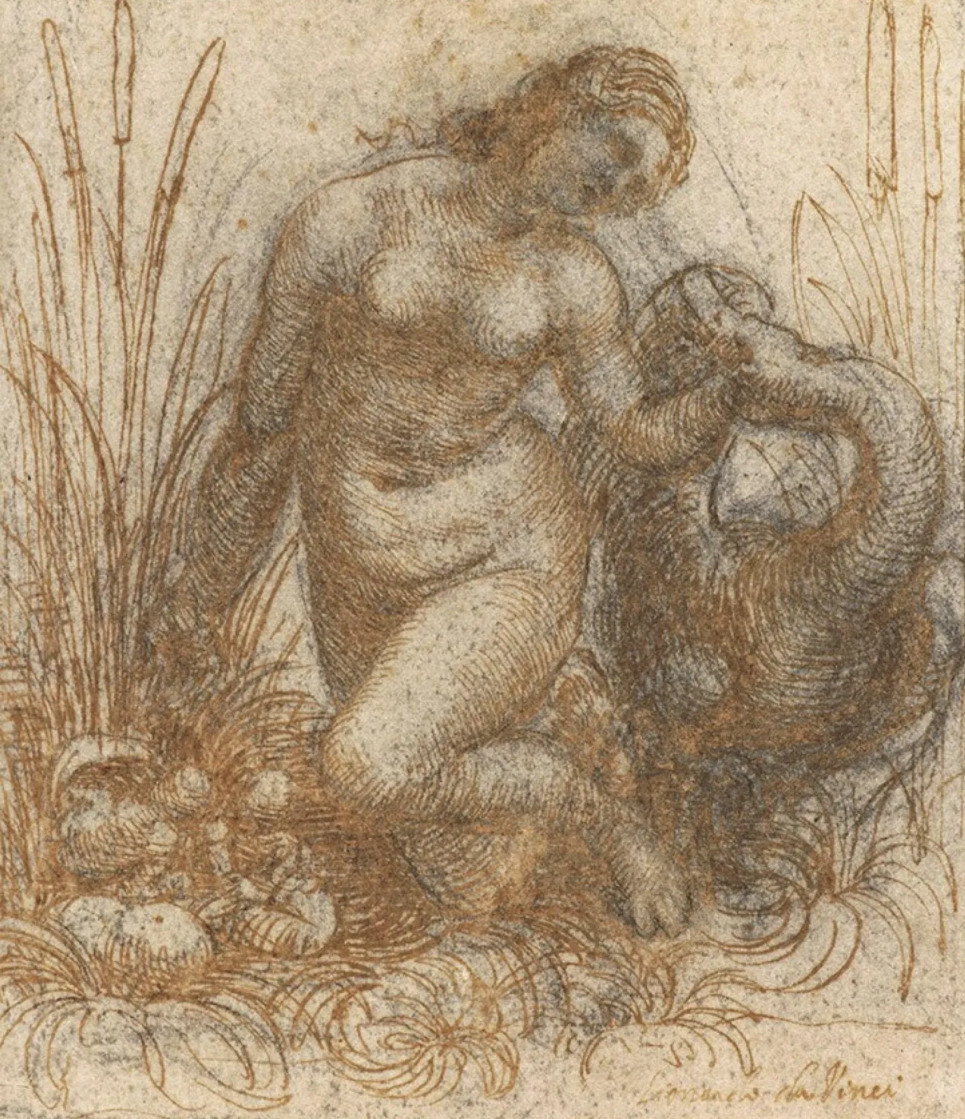 Study for a Kneeling Leda and the Swan, Leonardo da Vinci