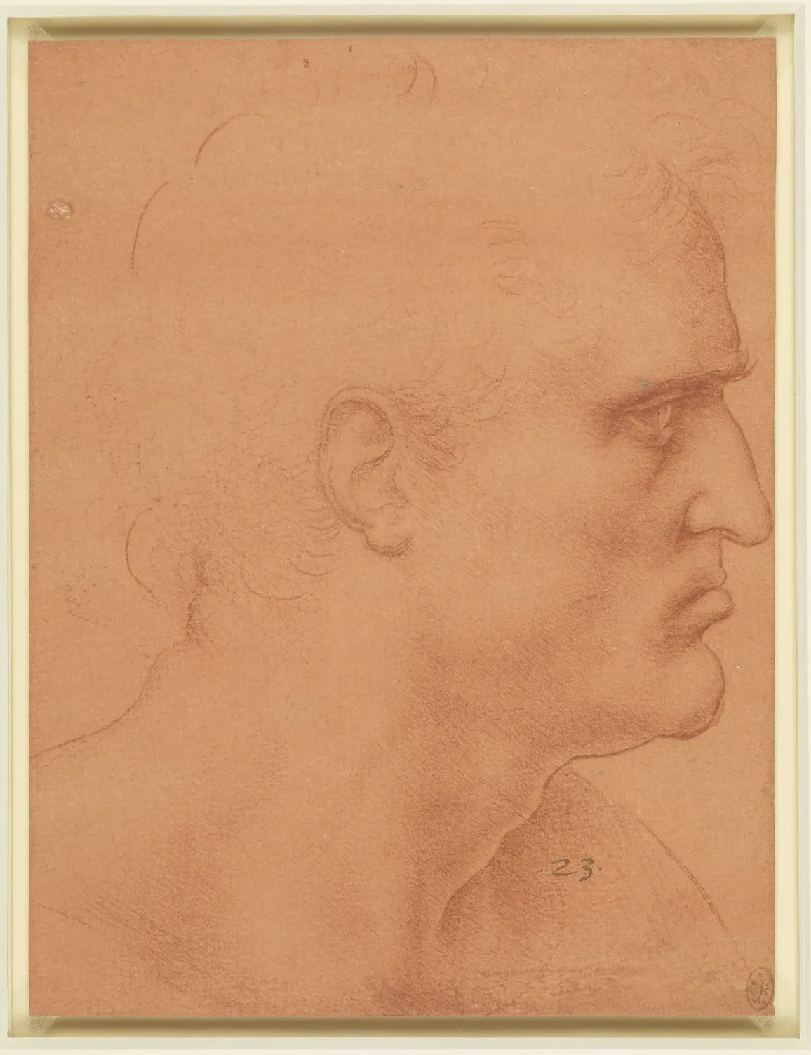 Study for the Last Supper (Saint Bartholomew), Leonardo da Vinci
