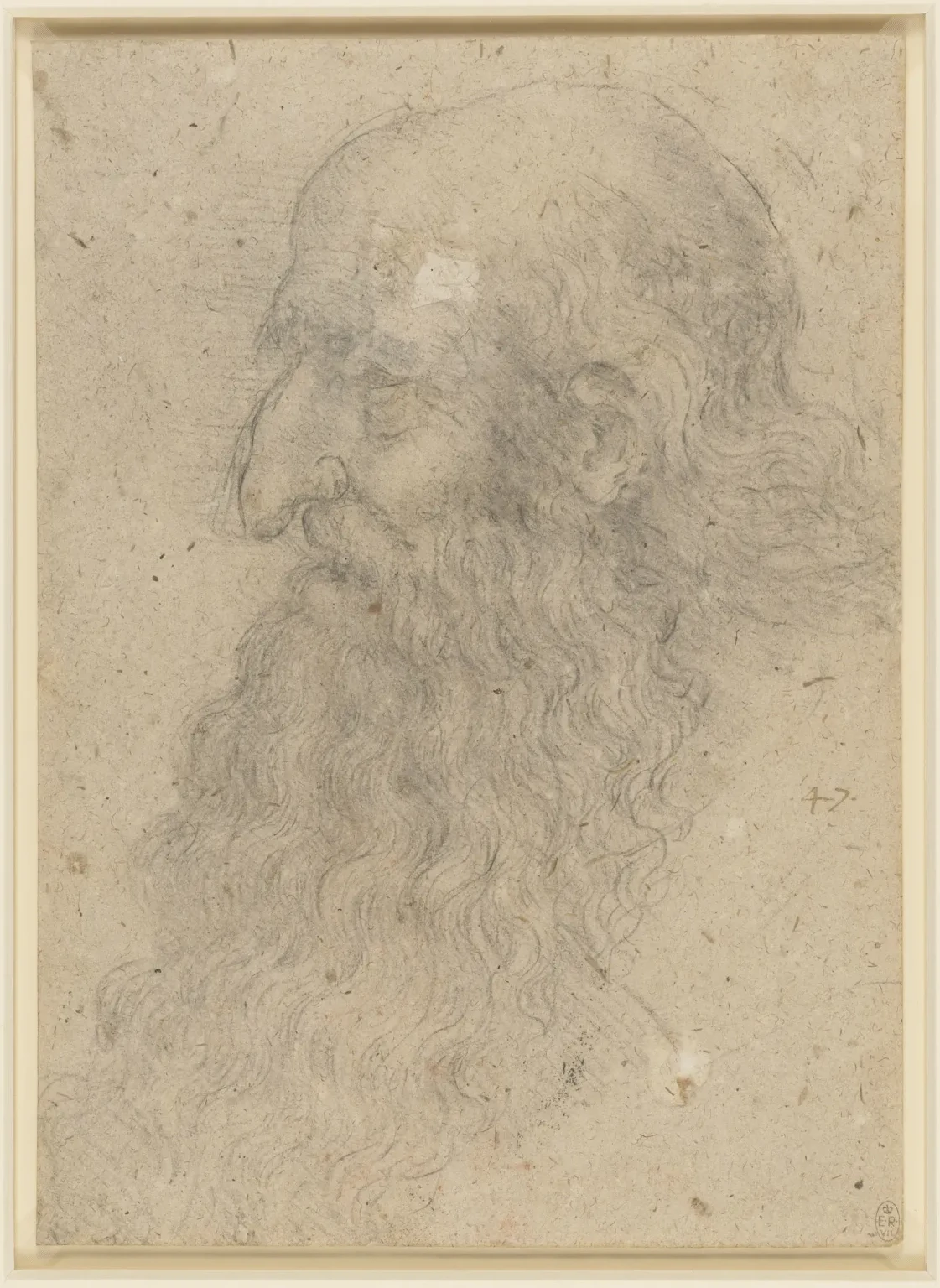 Study of a Bearded Old Man in Profile, Leonardo da Vinci