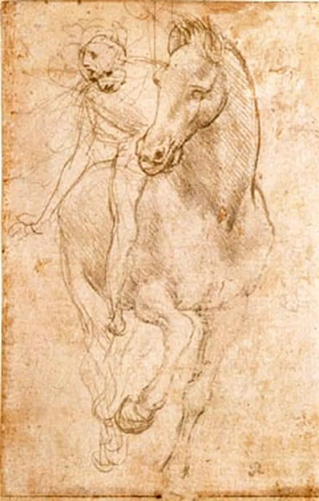 Study of a Horse and Rider, Leonardo da Vinci