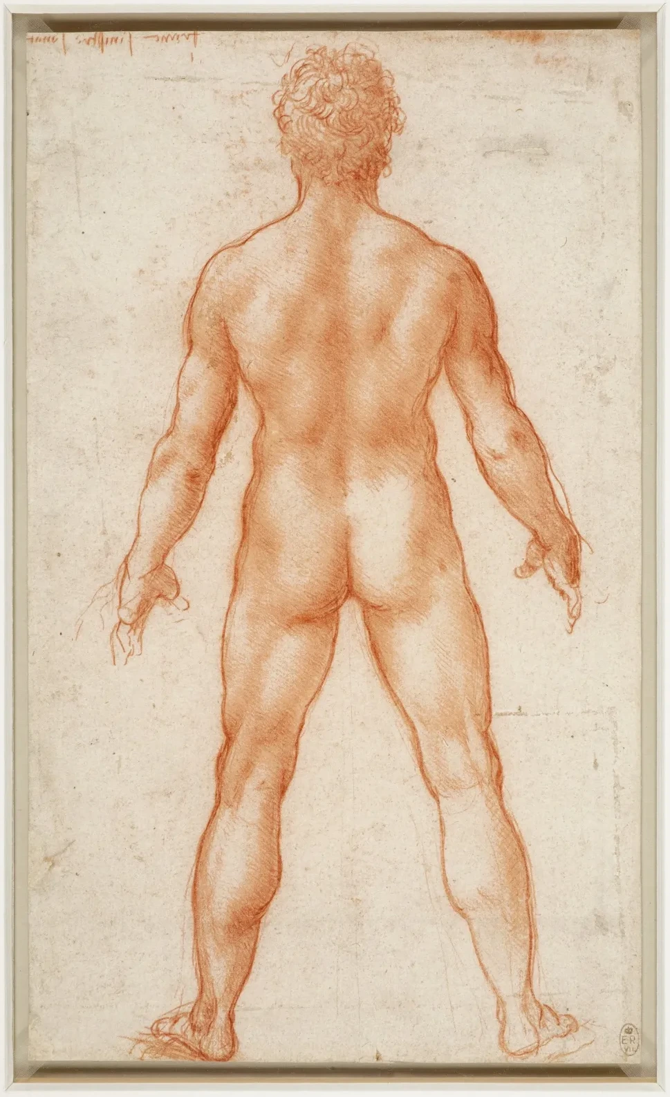 Study of a Male Nude Seen from Behind, Leonardo da Vinci