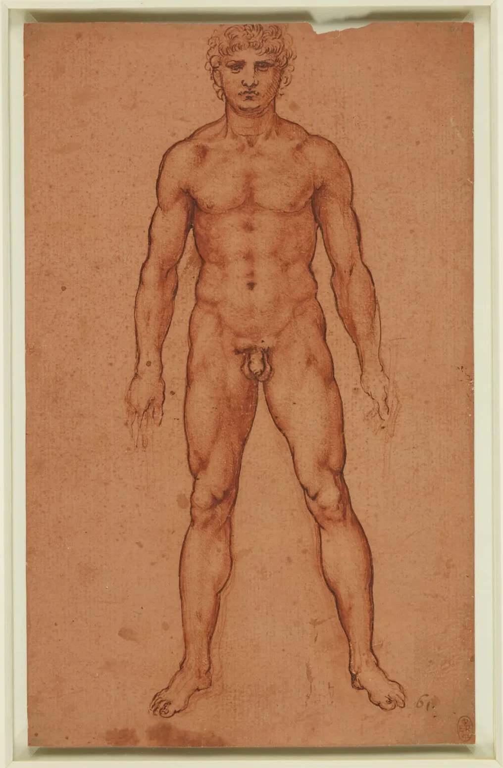 Étude d'un nu masculin vu de face, Léonard de Vinci