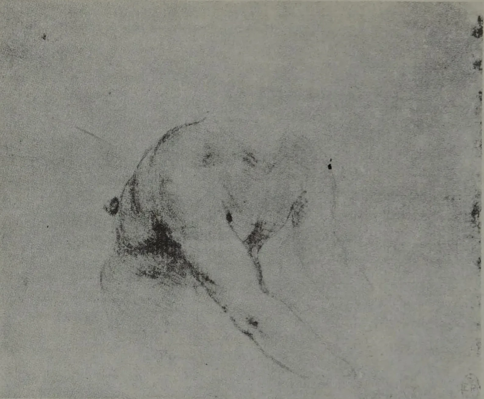 Study of a Naked Torso, Leonardo da Vinci