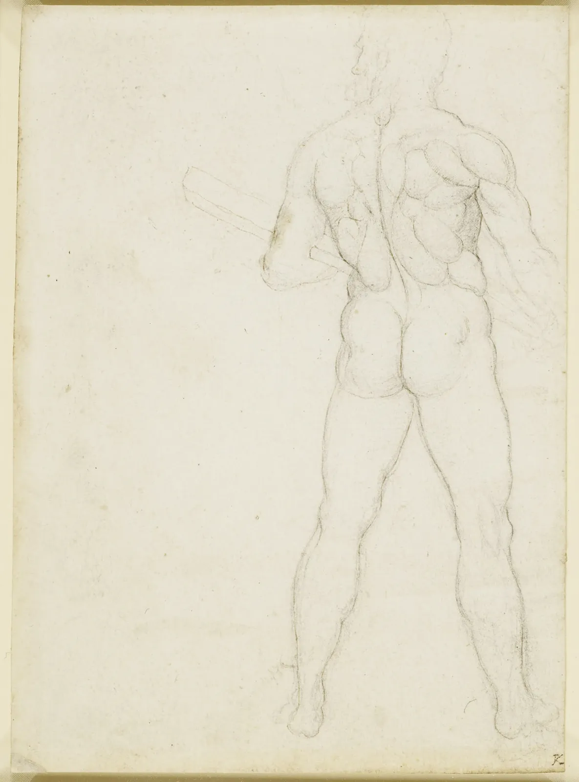 Étude des muscles du dos d'un homme, Léonard de Vinci