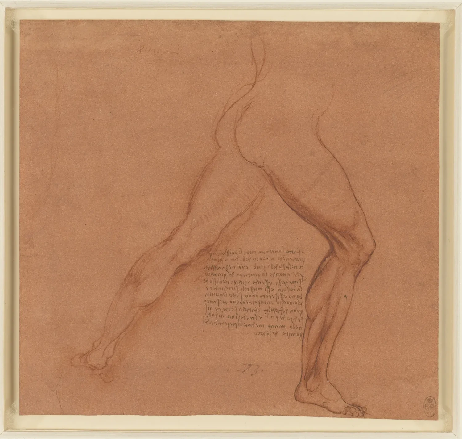 Étude des muscles des jambes en action, Léonard de Vinci