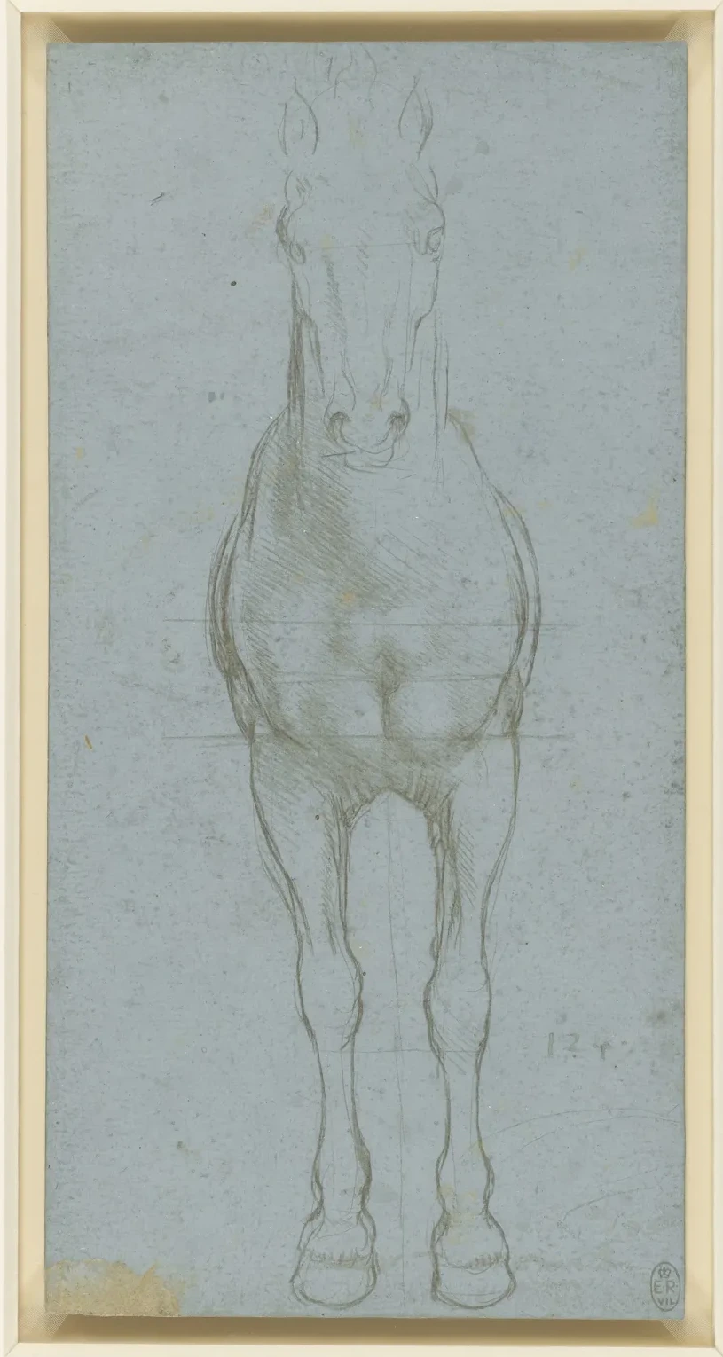 Étude des proportions d'un cheval, Léonard de Vinci
