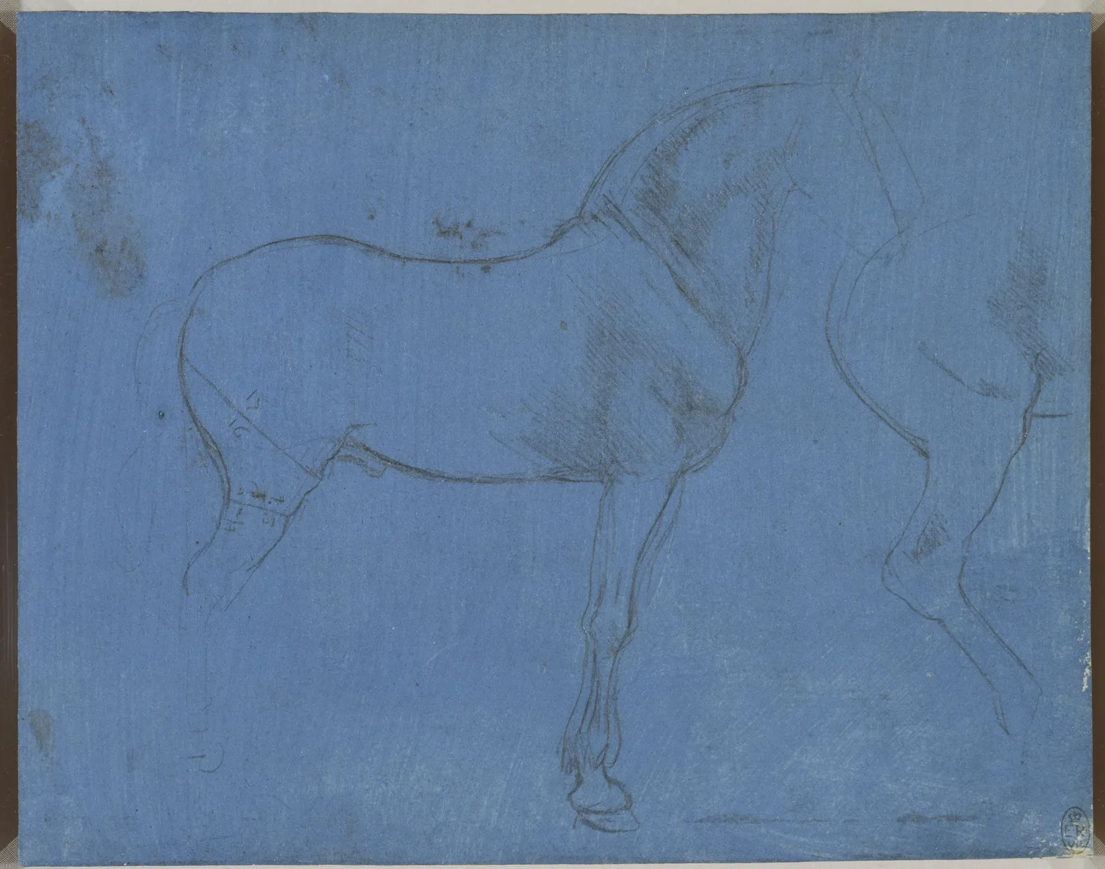 Étude des proportions d'un cheval, Léonard de Vinci
